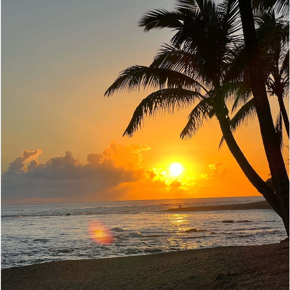 Meet your Posher, Yvonne